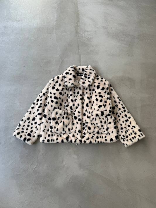 DALMATIAN COAT